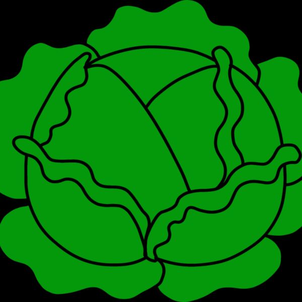 Cabbage Thumbnail