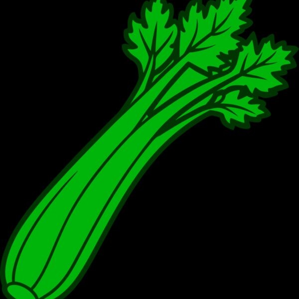 Celery Thumbnail