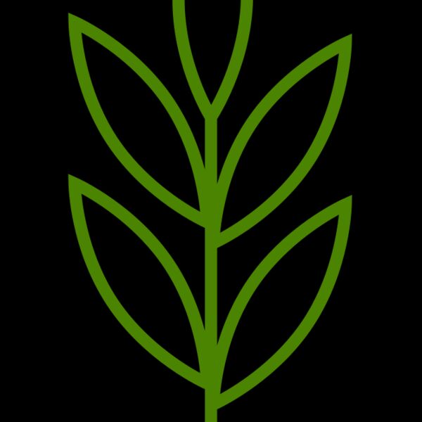 Leaves 4 Thumbnail