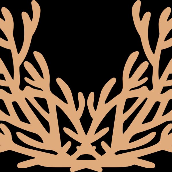 Sea Plants Thumbnail