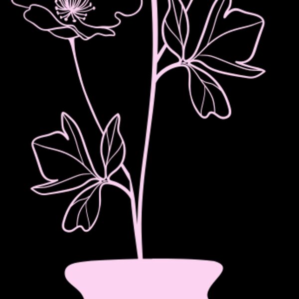 Flowers 7 Thumbnail